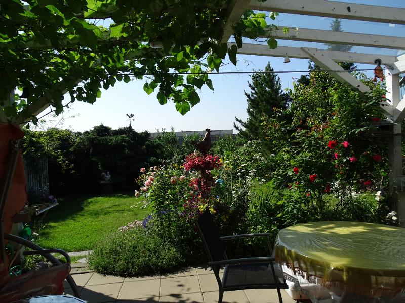 Blick in den Garten Einfamilienhaus Lossatal