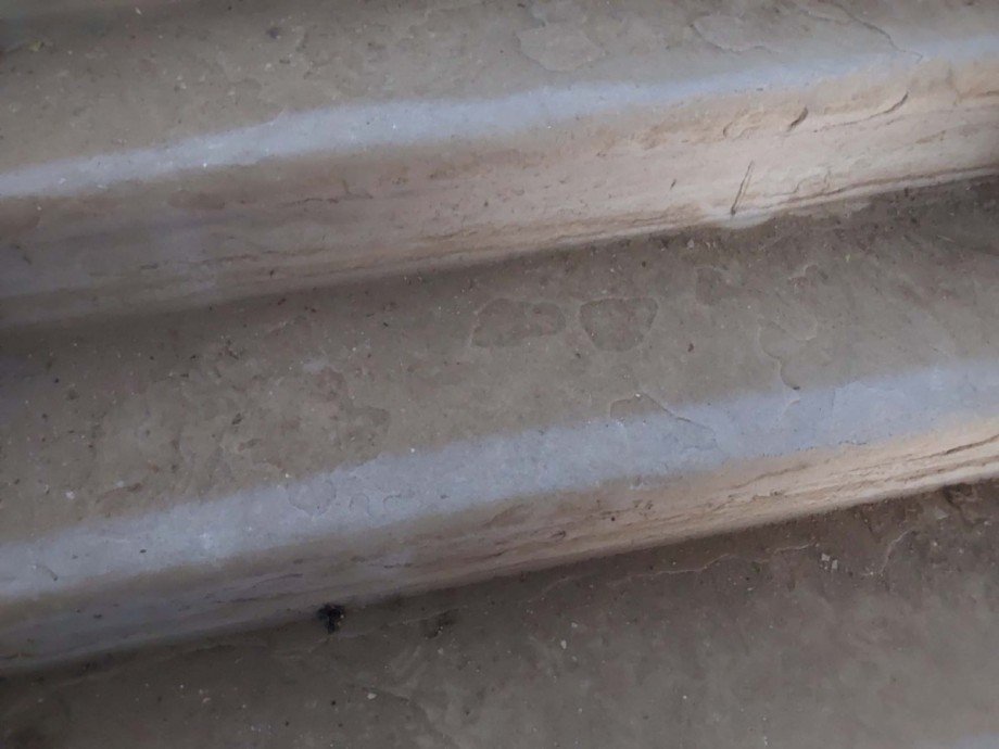 villa-altenburg-verkaufen (17) Villa Altenburg