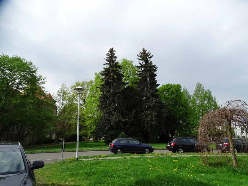 Park Mehrfamilienhaus Eilenburg