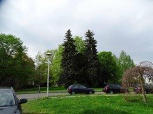 Park +++ Schicke Villen-Stadt Haush�lfte am Zentrum Eilenburgs +++