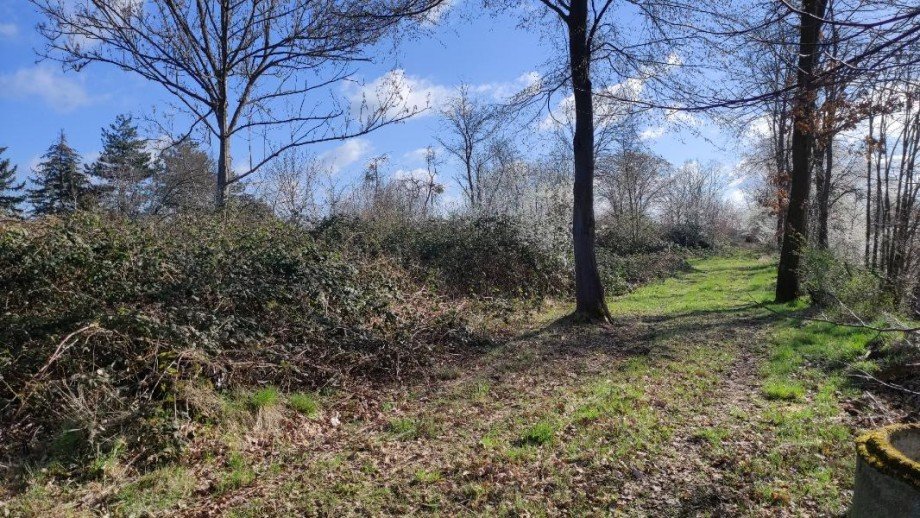 Ansicht Grundst�ck Machern