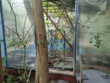 Ansicht Einfamilienhausgrundst�ck in gr�ner Lage in Grimma OT B�hlen