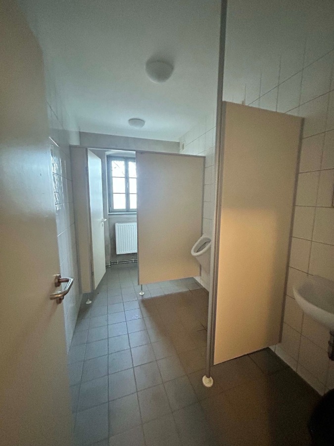 herrenhaus-goebitz-kaufen (18) Villa Elsteraue