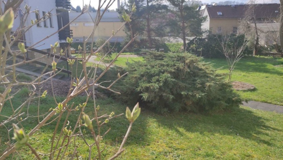 Ansicht Zweifamilienhaus Kohren Sahlis